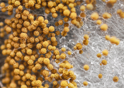 運維(wei)無保障，安(an)全有(yǒu)隐患